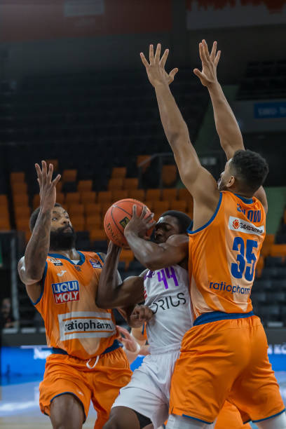 落实阵容构 落实阵容构