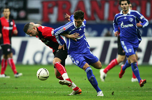 确实已经将 确实已经将