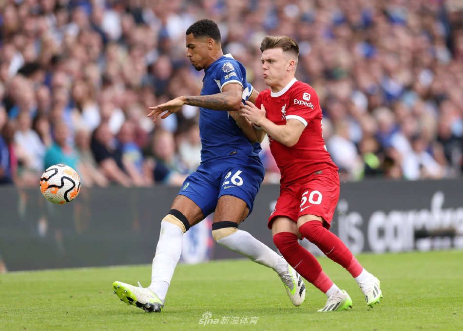 他们分别创 他们分别创